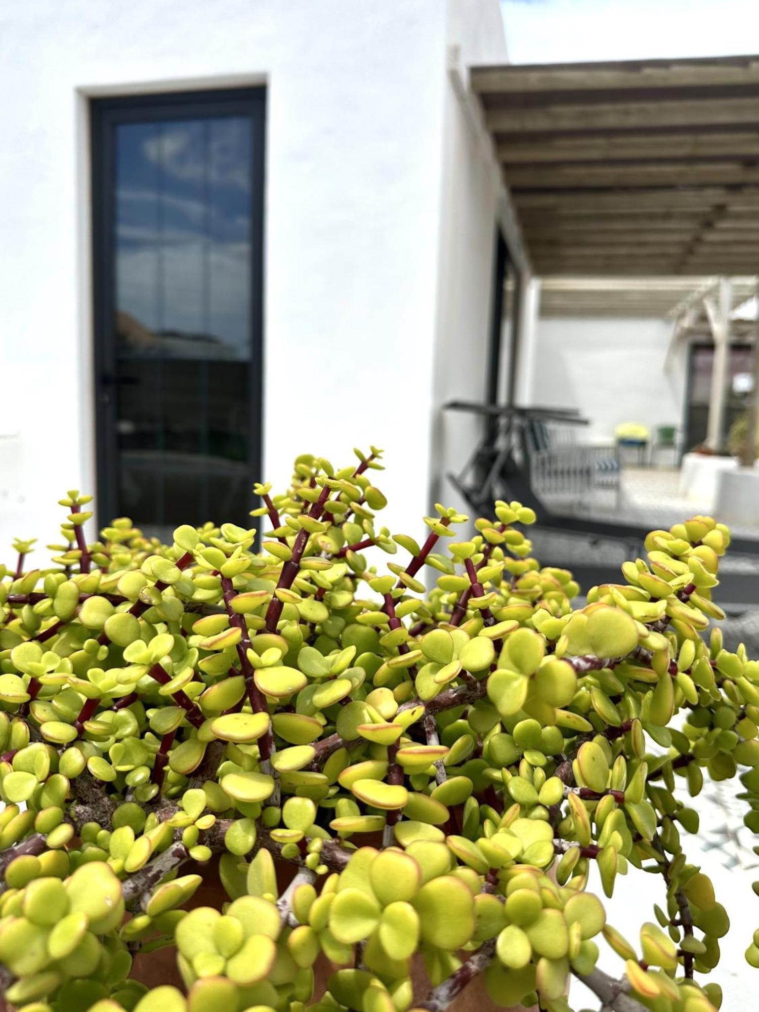 Casita Tiare Apartament