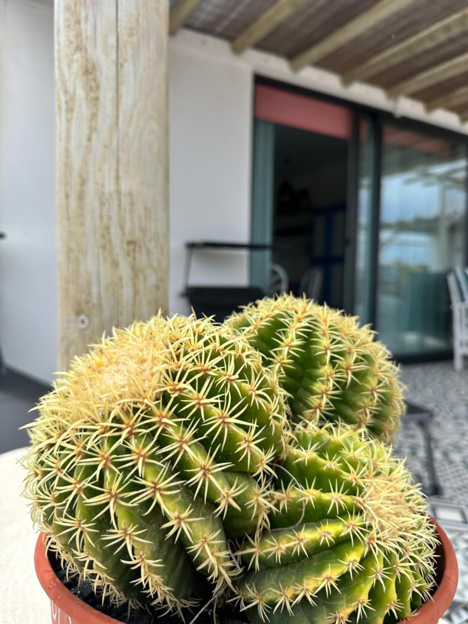 Casita Tiare Apartamento